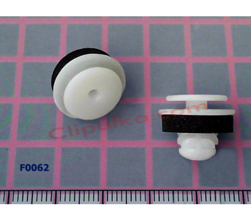 F0062 F0062
