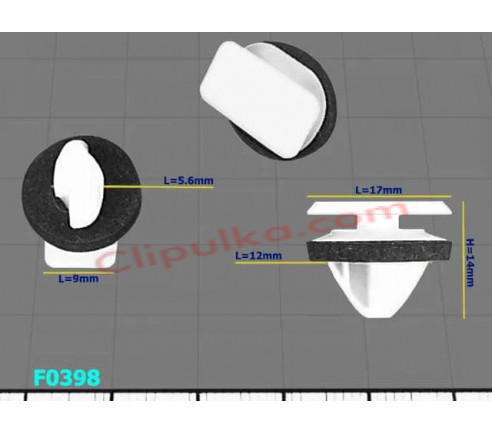 F0398 9836946680