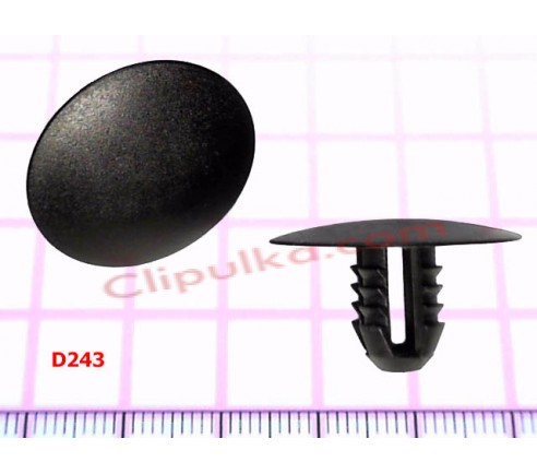 D243 6678518