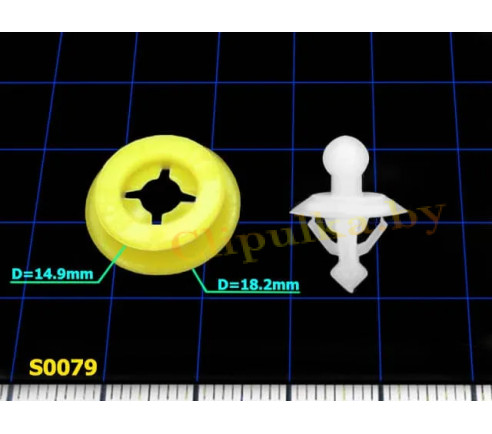 S0079 30698669