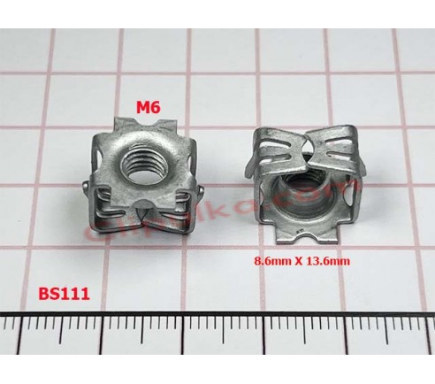 BS111 11570015