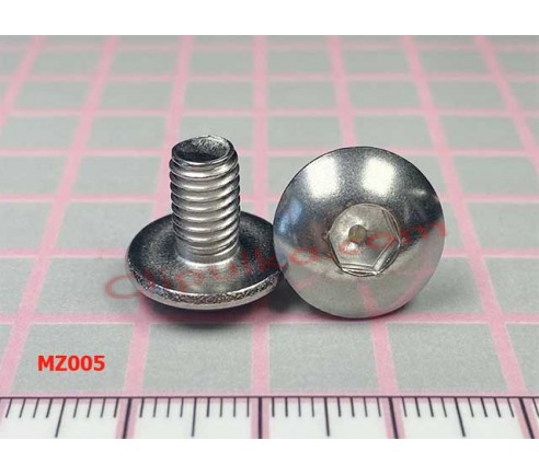MZ005 0913906172