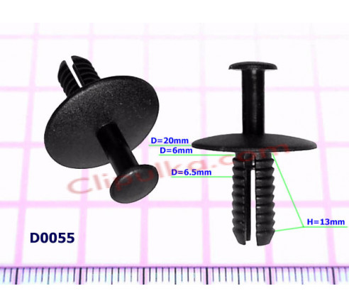 D0055 C10005