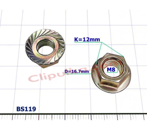 BS119 BS119
