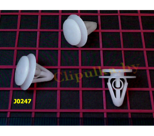 J0247 J0247